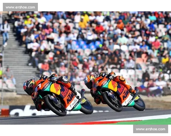 激烈撞车竞速赛：车手们的生死较量与极限挑战