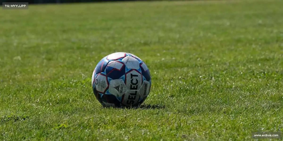 为什么选择我们